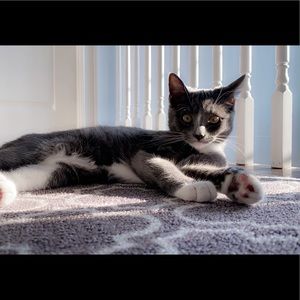 Meet your Posher, Brooke